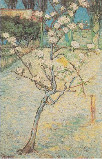Vincent Van Gogh Flowering Pear-Tree oil painting image